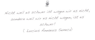 Nicht weil es schwer ist wagen wir es nicht,
sondern weil wir es nicht wagen, ist es schwer!
( Lucius Annaeus Seneca)